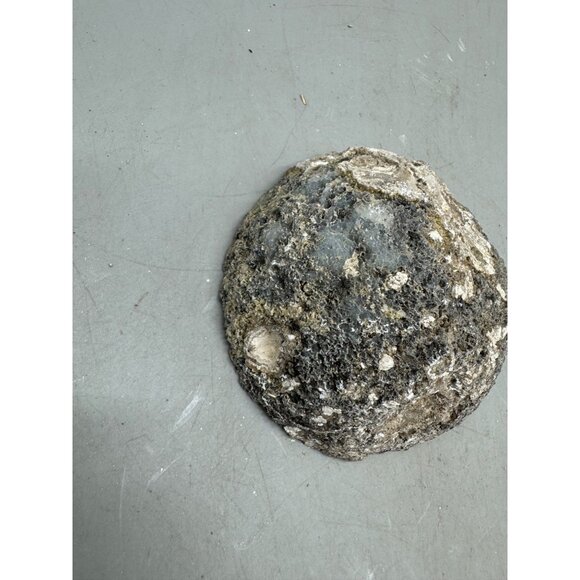 Natural Geode Rock Half With Crystalline Interior For Display Or Collection READ - Picture 3 of 10